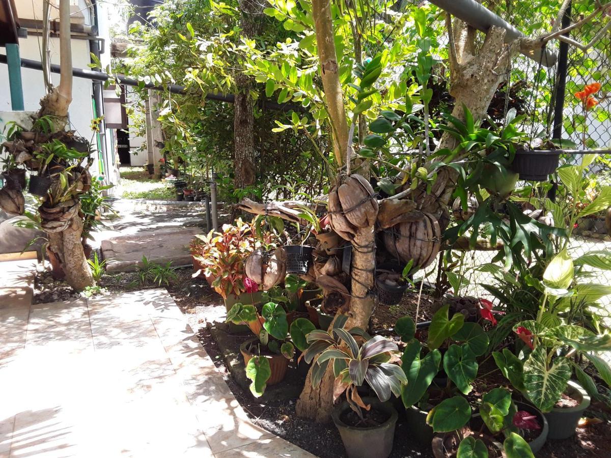 Karl Holiday Bungalow Kalutara Extérieur photo