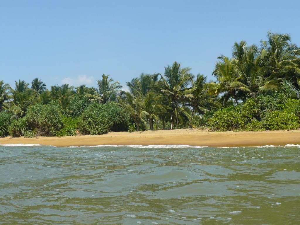Karl Holiday Bungalow Kalutara Extérieur photo