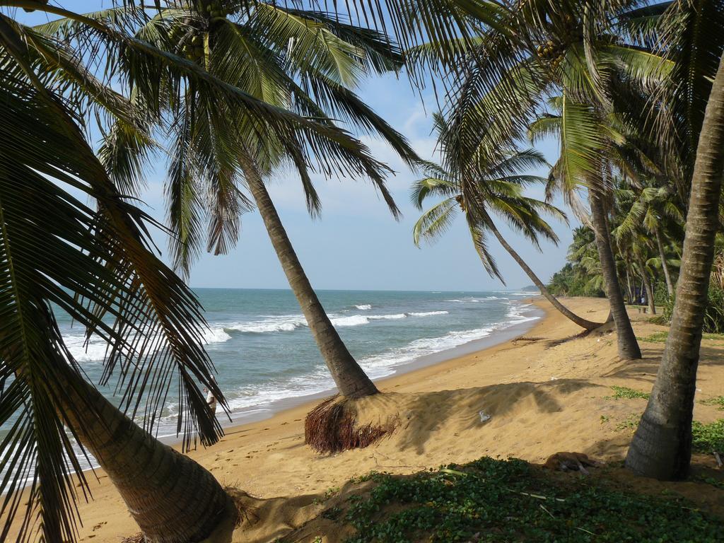 Karl Holiday Bungalow Kalutara Extérieur photo