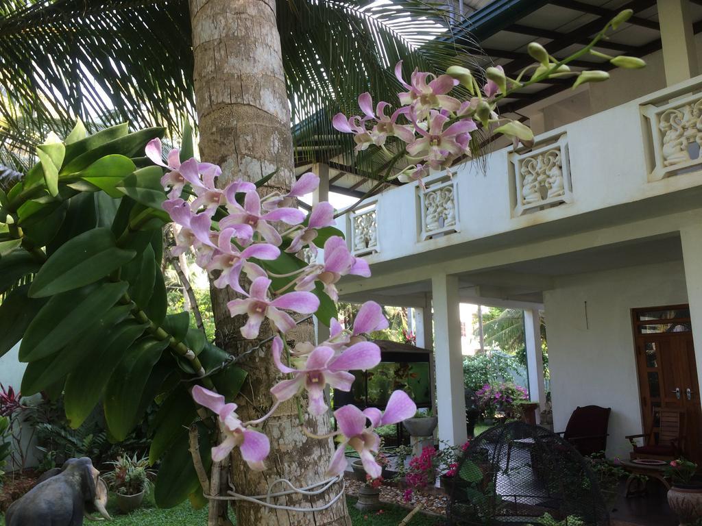 Karl Holiday Bungalow Kalutara Extérieur photo