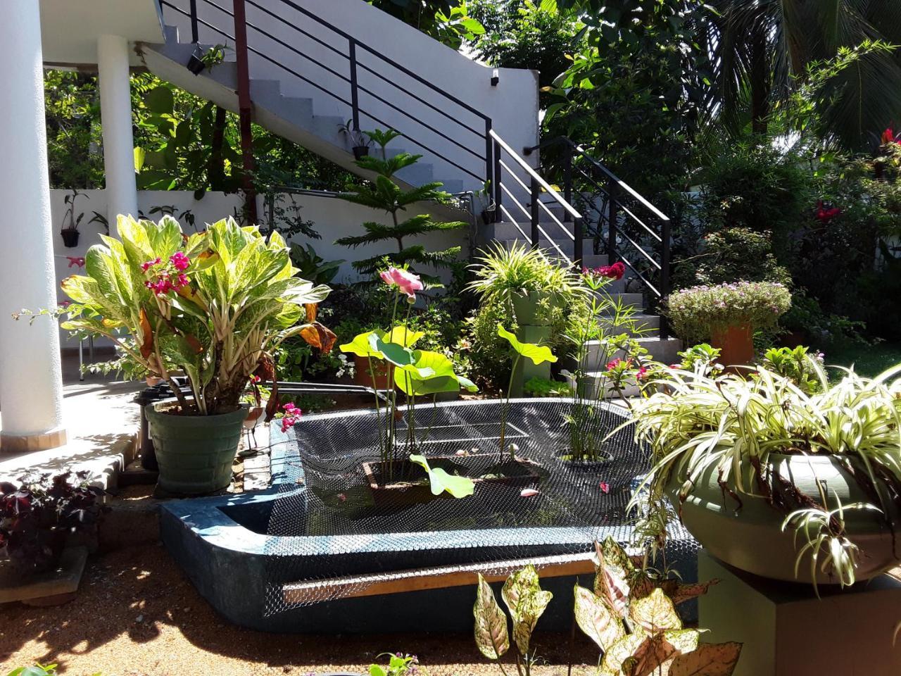 Karl Holiday Bungalow Kalutara Extérieur photo
