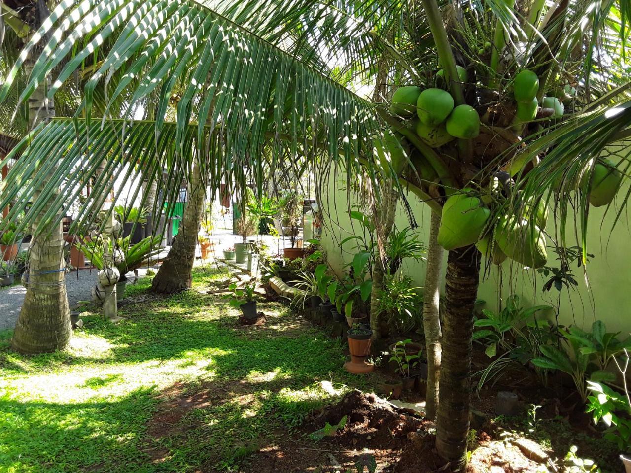 Karl Holiday Bungalow Kalutara Extérieur photo